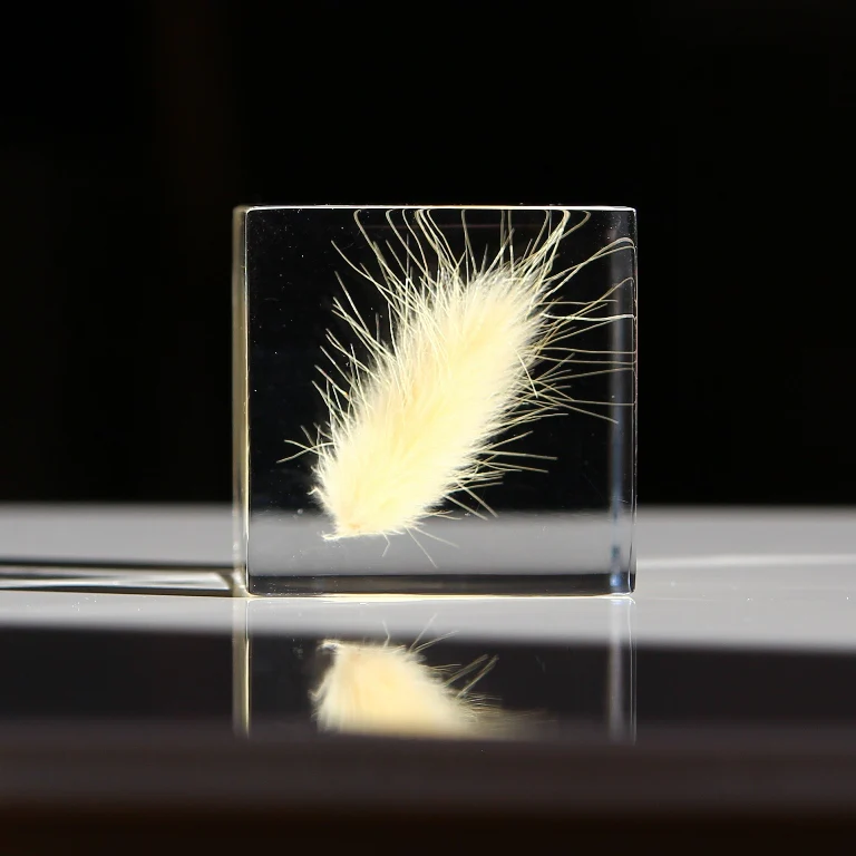 Bunny Tail Grass - Sola Cube - Image 3