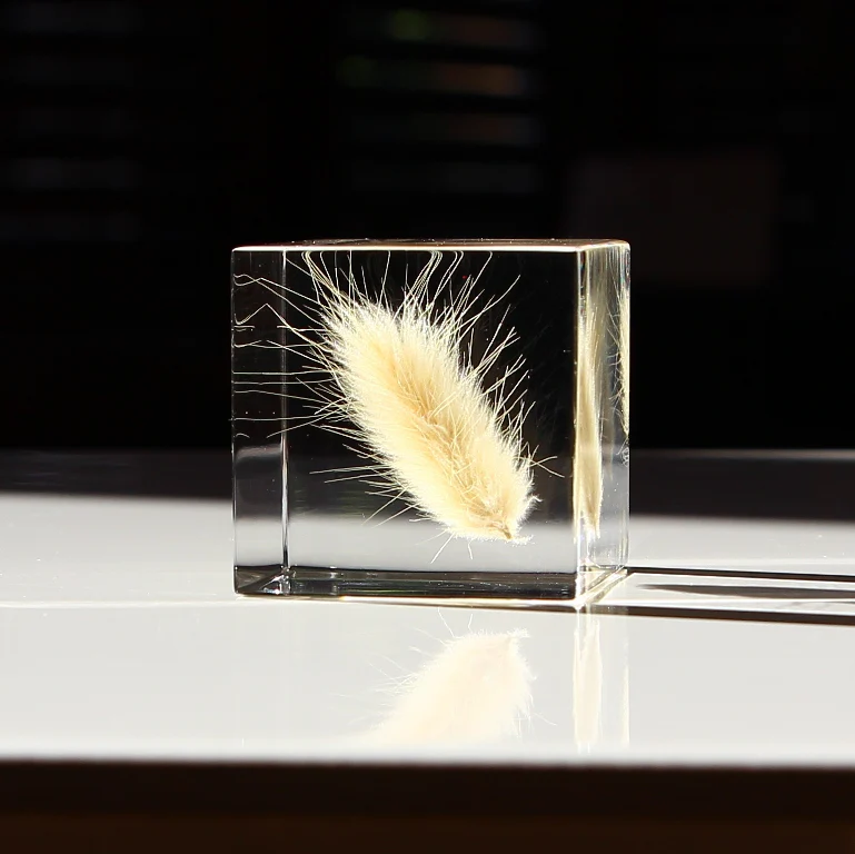 Bunny Tail Grass - Sola Cube - Image 4