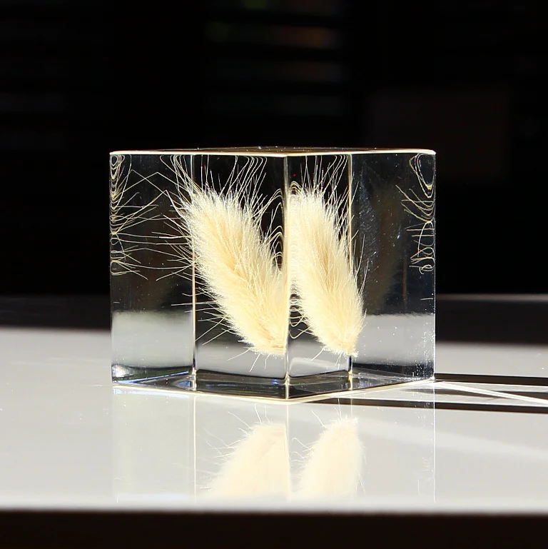 Bunny Tail Grass - Sola Cube - Image 5