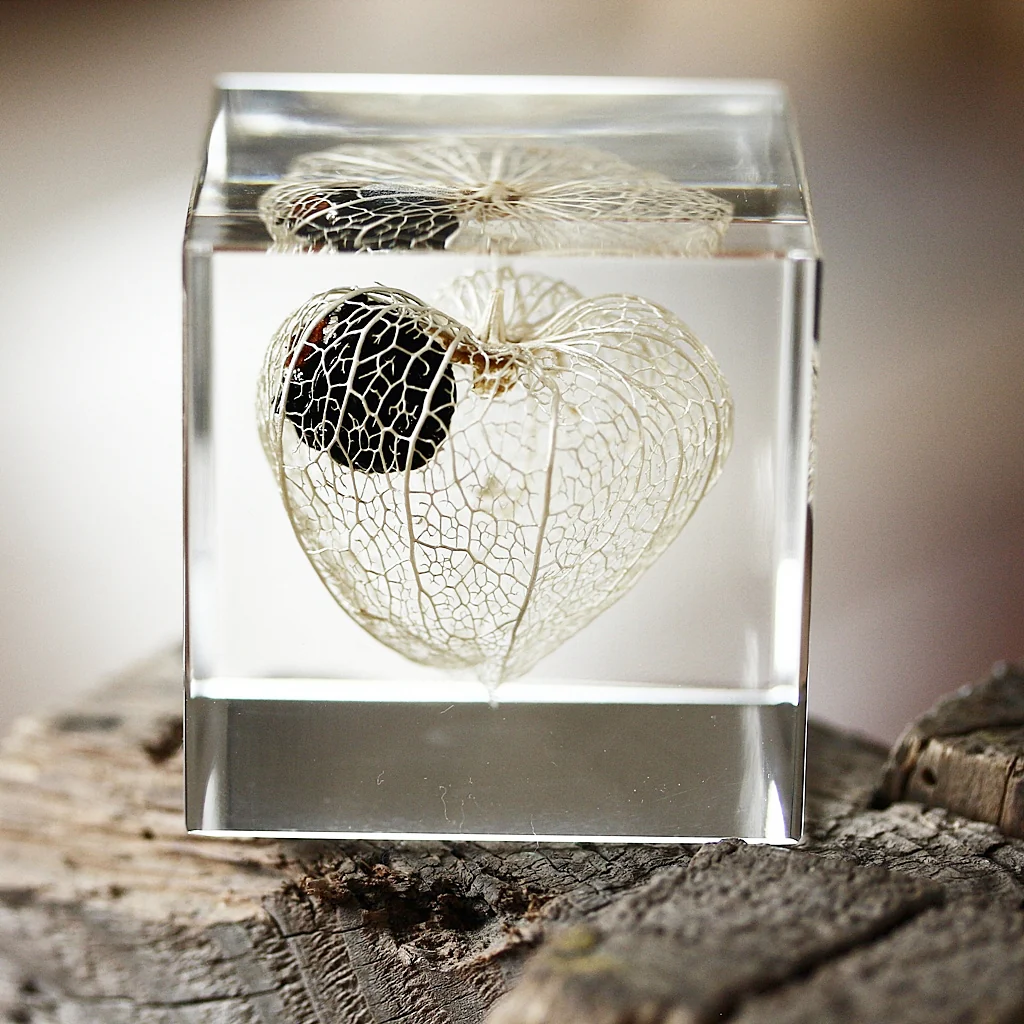 Chinese Lantern - Sola Cube - Image 4