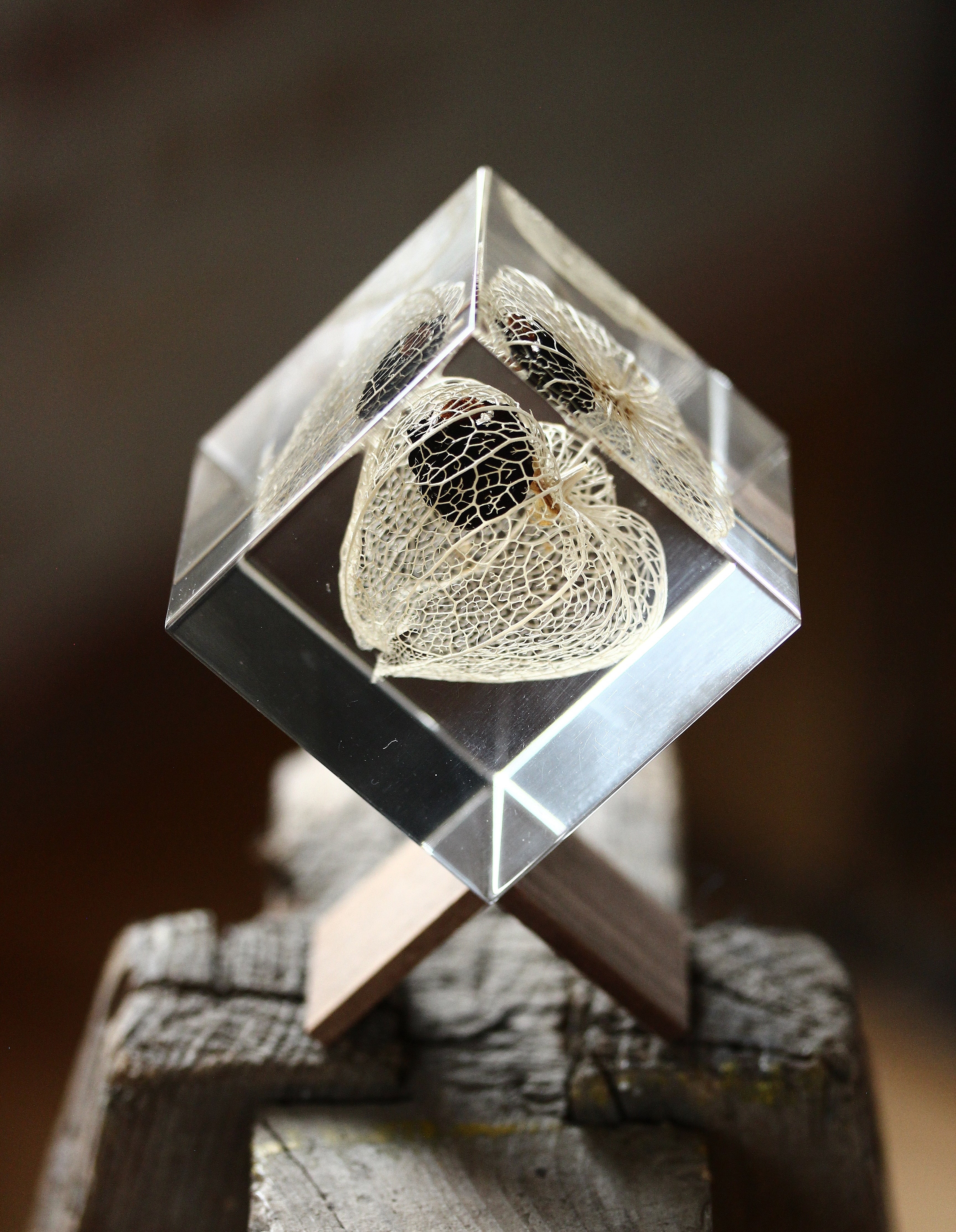 Chinese Lantern - Sola Cube - Image 5