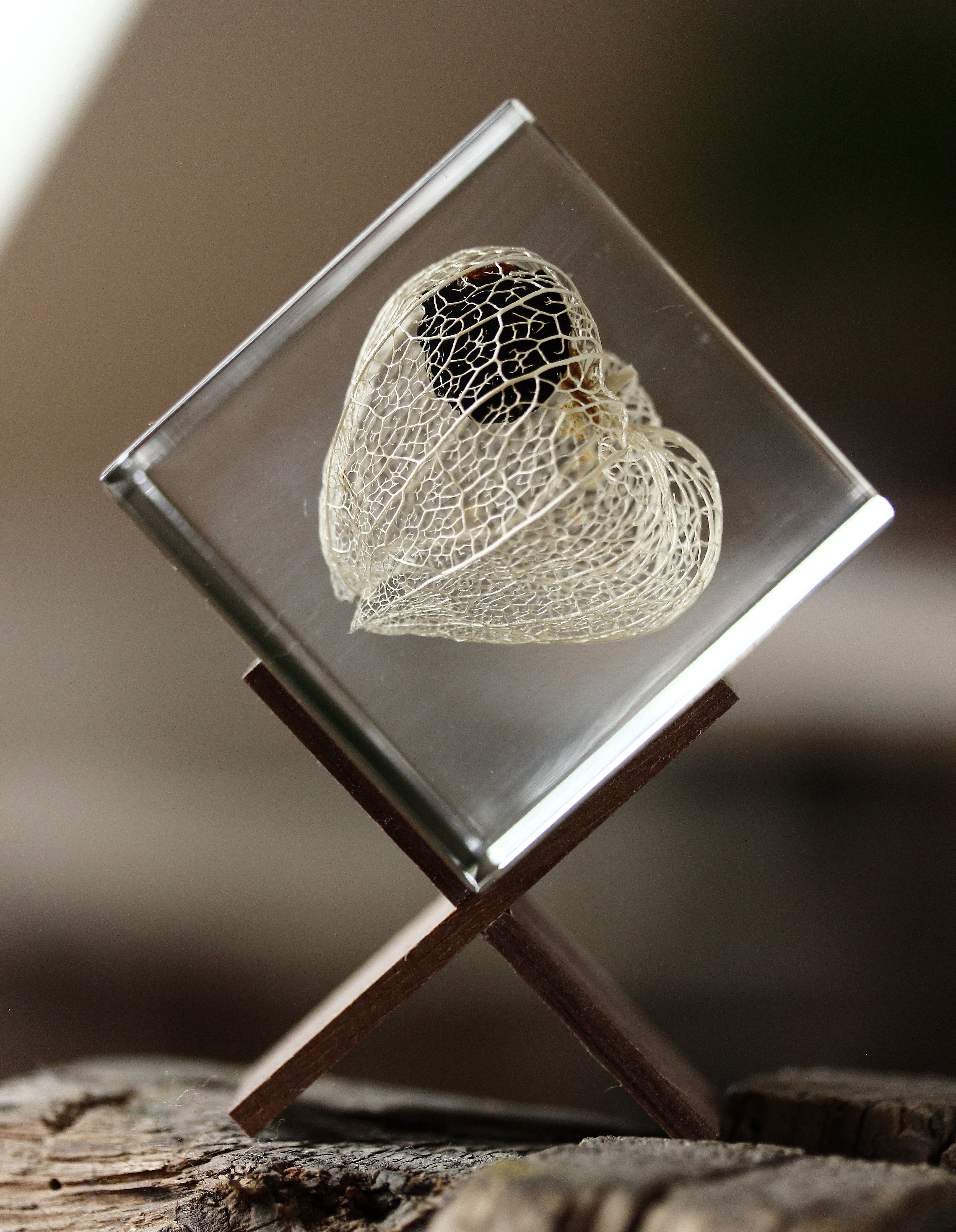 Chinese Lantern - Sola Cube - Image 6