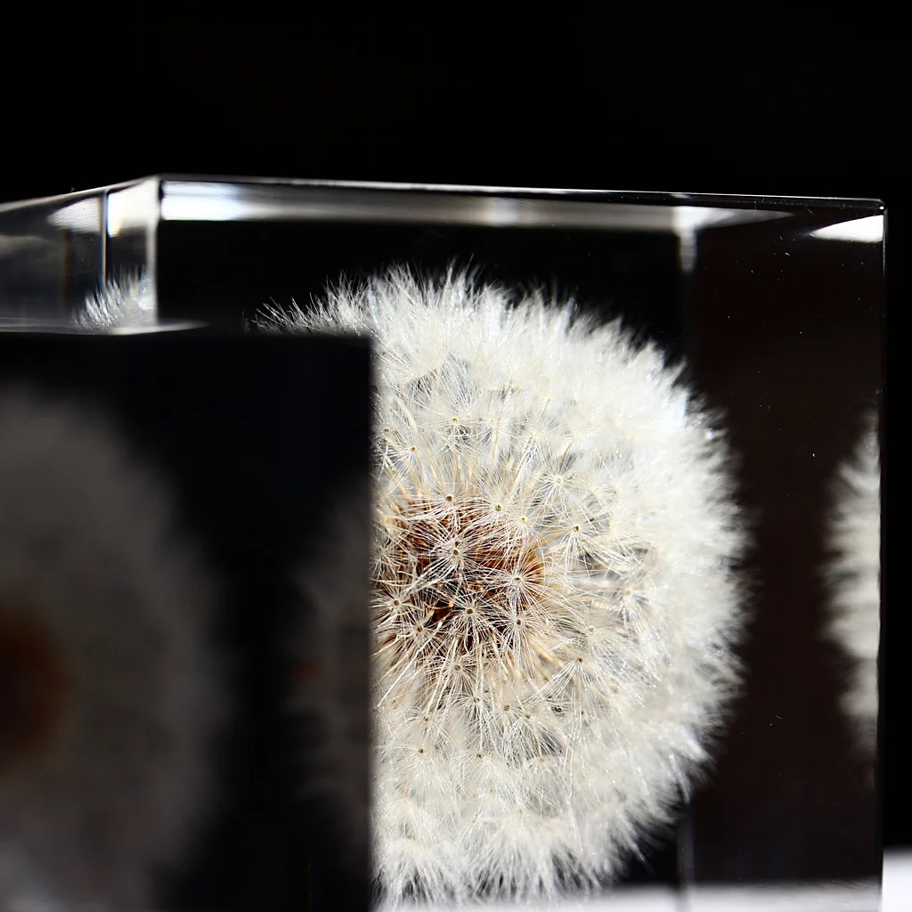 Dandelion - Sola Cube - Image 2