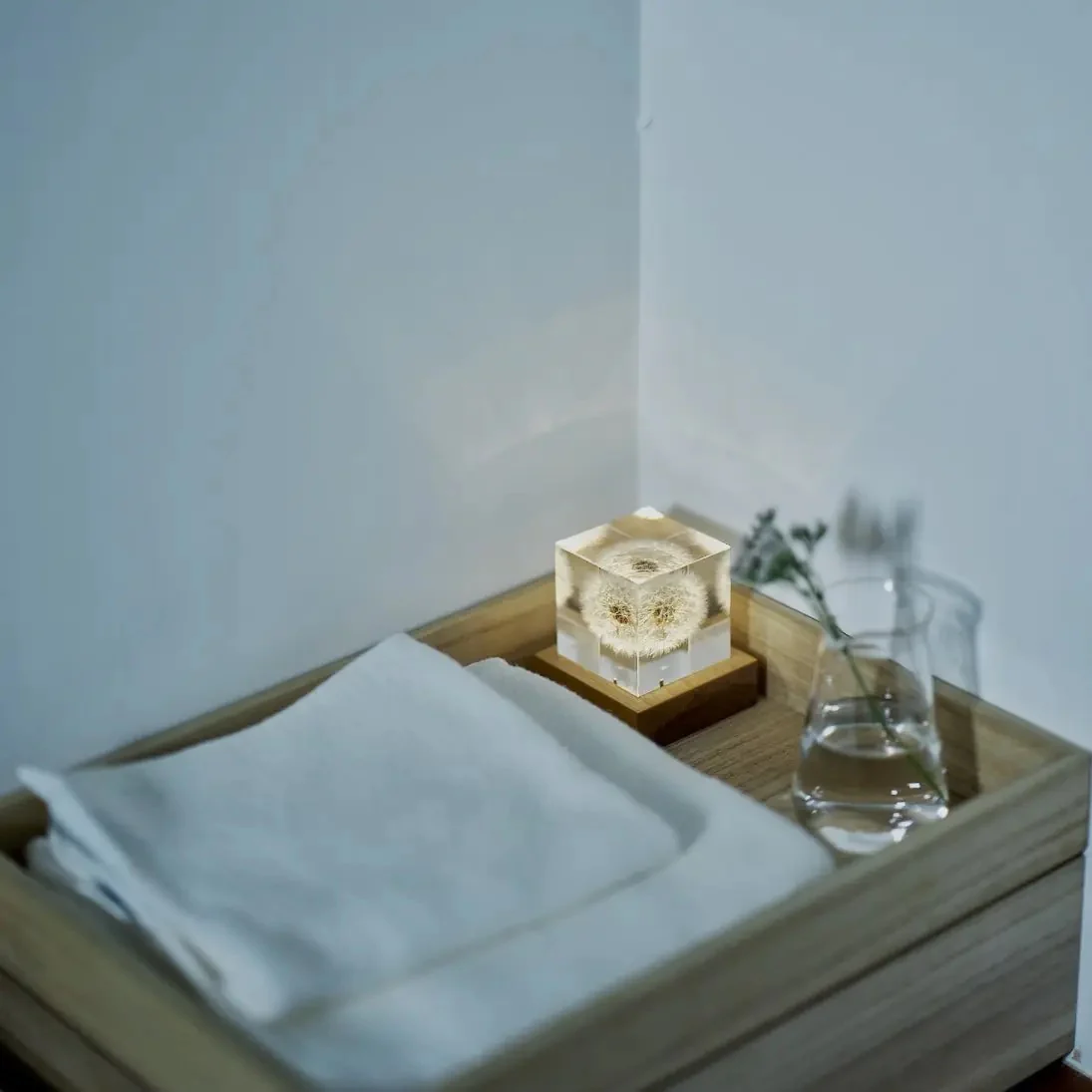 Dandelion - Sola Cube - Image 4