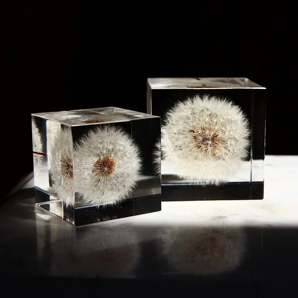 Dandelion - Sola Cube - Image 5