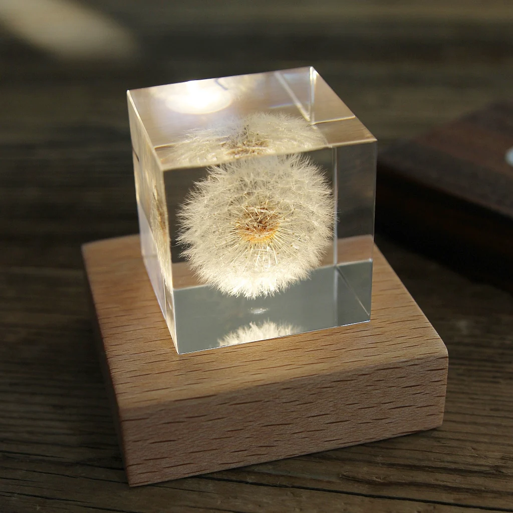Light Base Buche/Walnuss - Image 2
