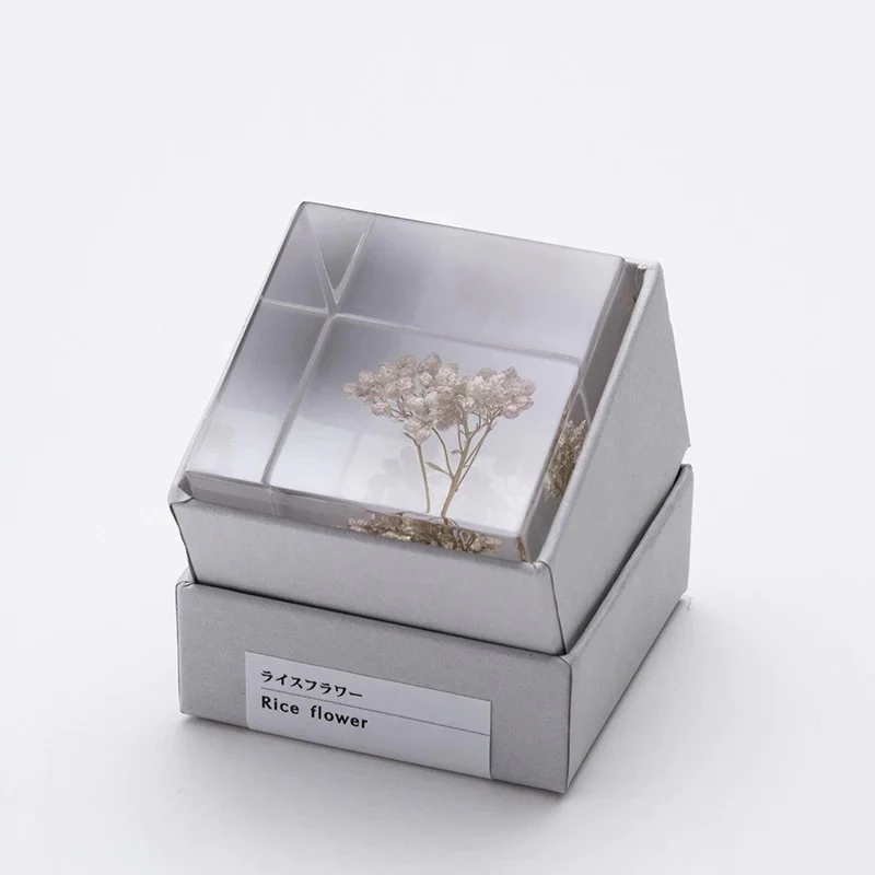 Rice Flower - Sola Cube - Image 3