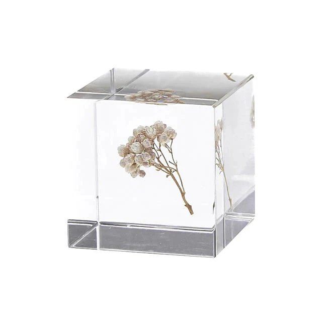 Rice Flower - Sola Cube - Image 4