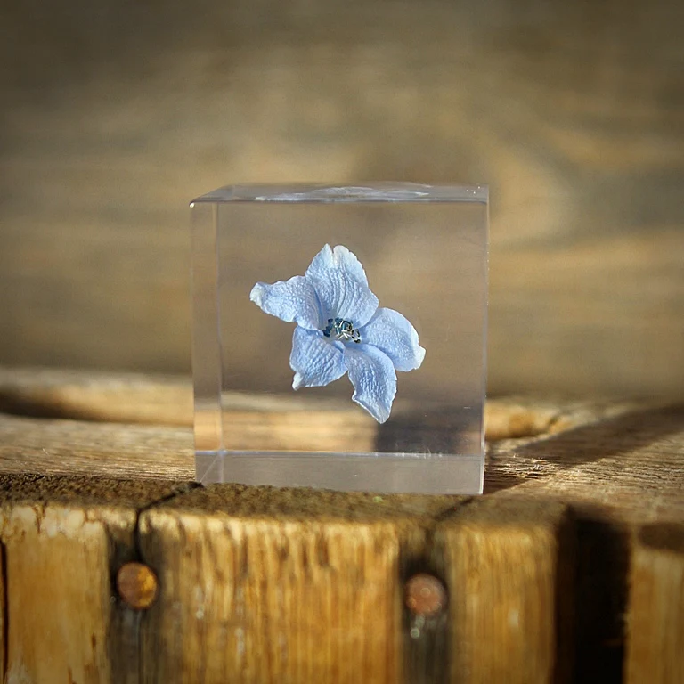 Siberian Larkspur - Sola Cube - Image 4