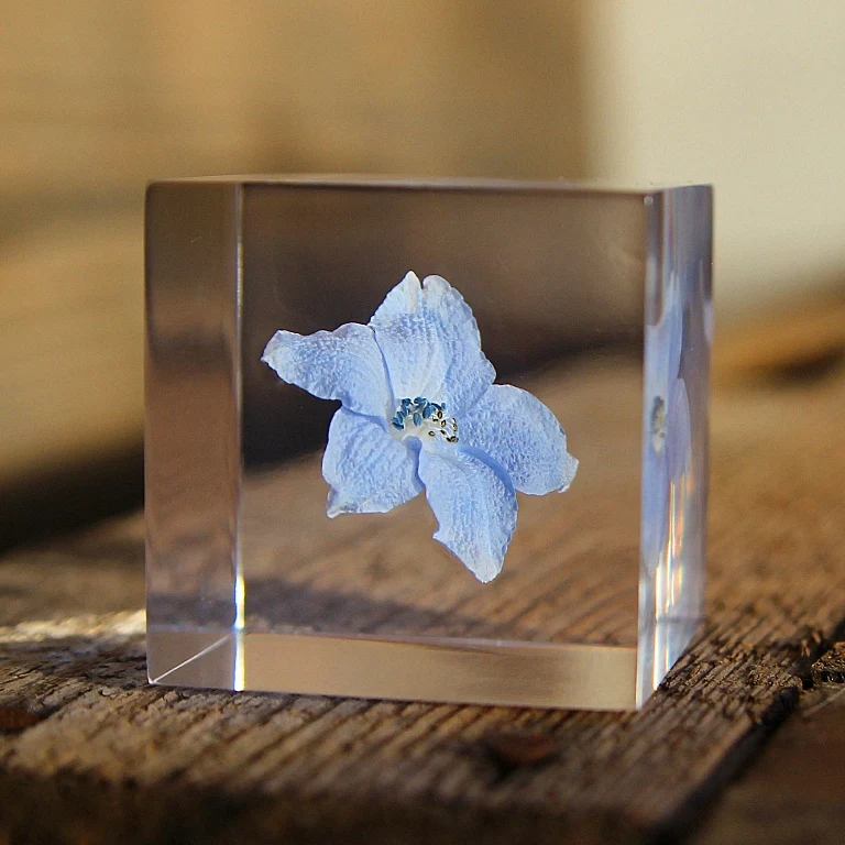 Siberian Larkspur - Sola Cube - Image 5