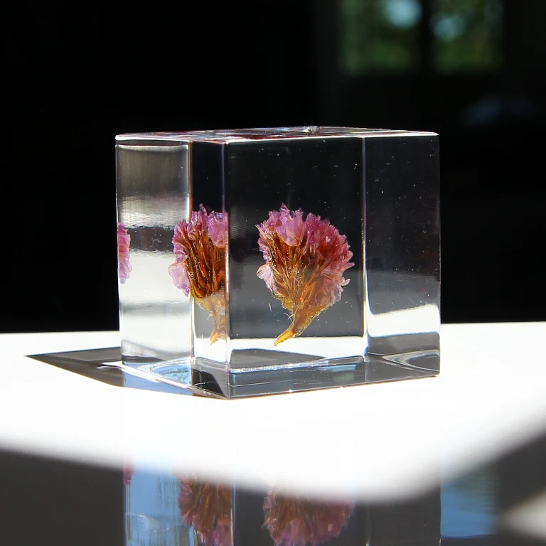 Statice - Sola Cube - Image 3