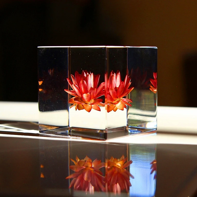 Strawflower - Sola Cube - Image 3
