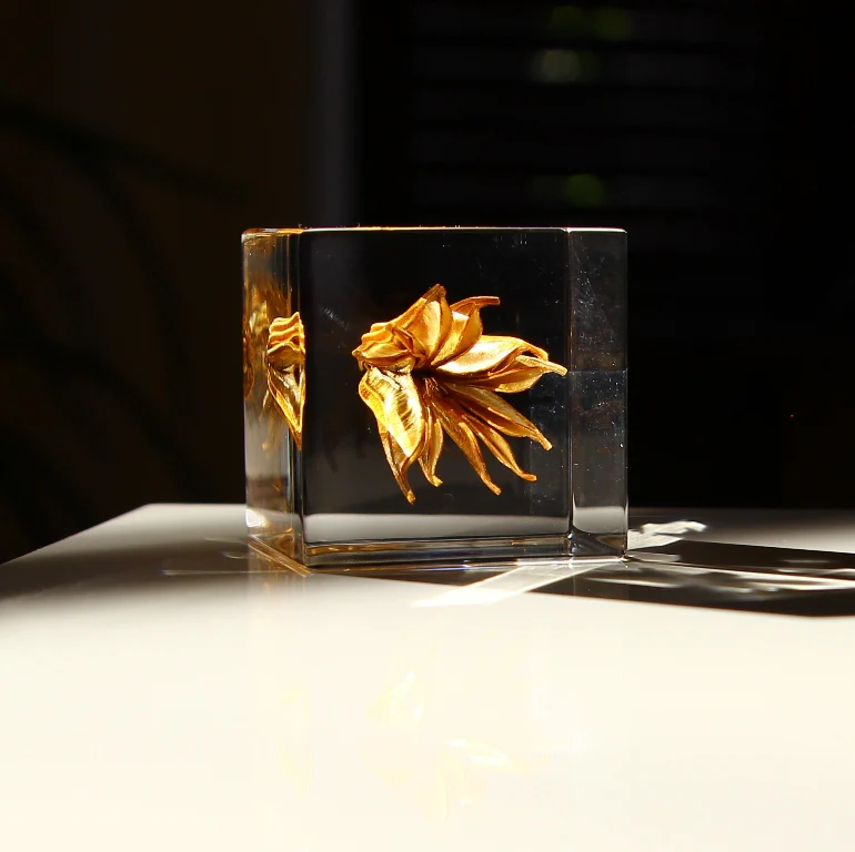 Yellow Fennel Flower - Sola Cube - Image 3