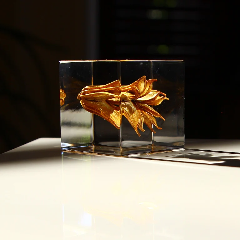 Yellow Fennel Flower - Sola Cube - Image 4